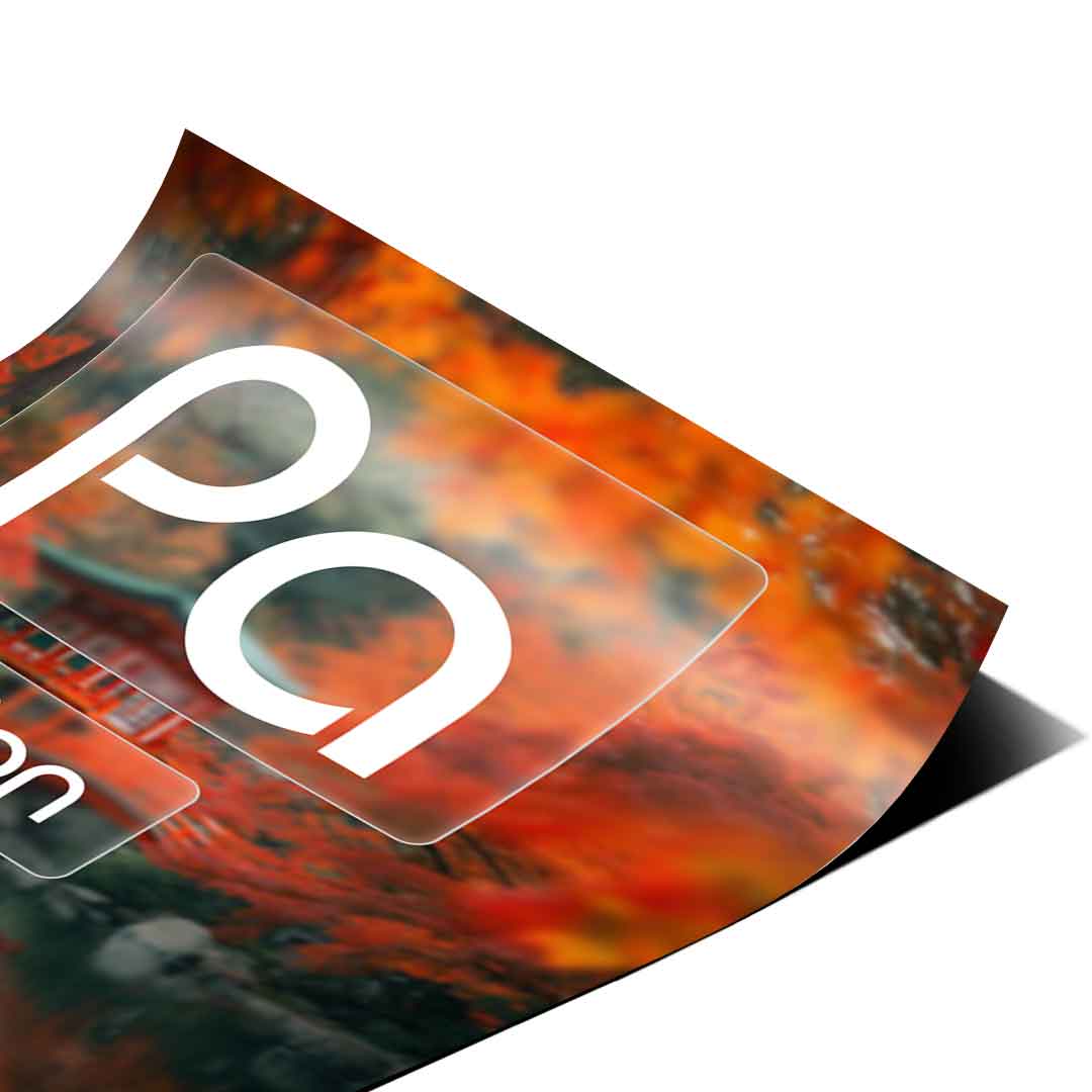 DOTCOMCANVAS® Passion (Pa) Poster Version Farbig – Eck-Detail