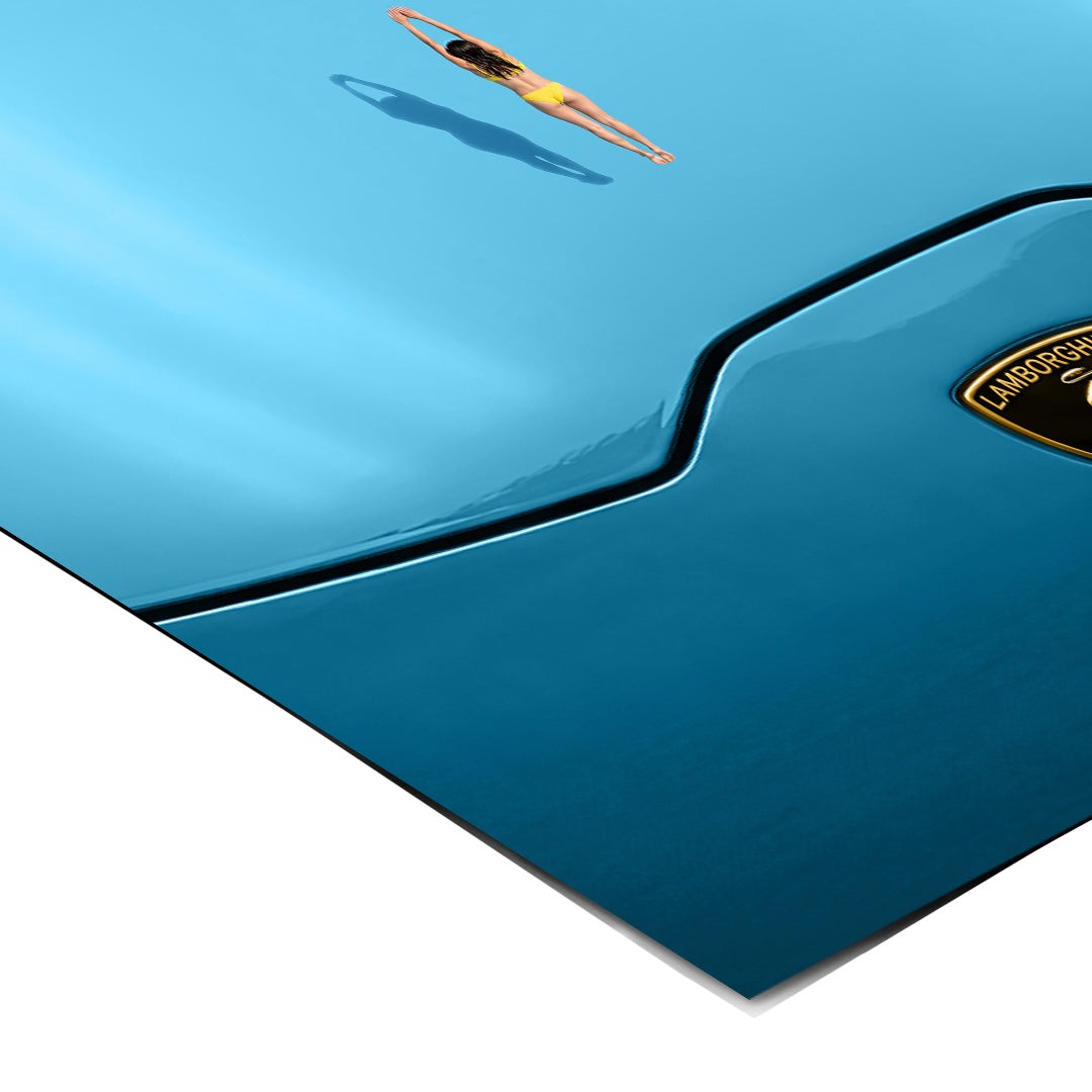 DOTCOMCANVAS Swim on the Hood Poster Ecke Detail