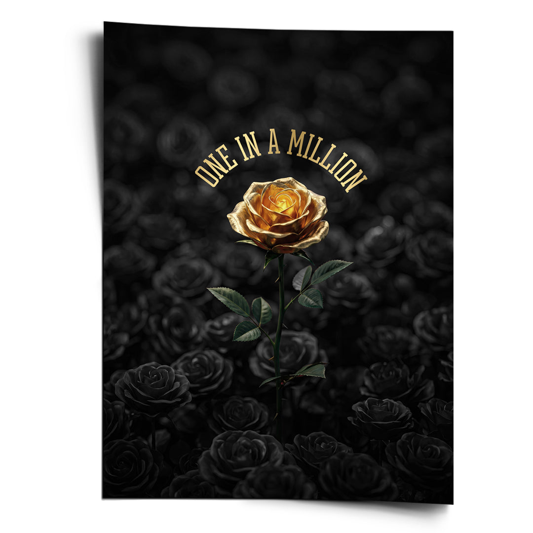 DOTCOMCANVAS Poster One in a Million