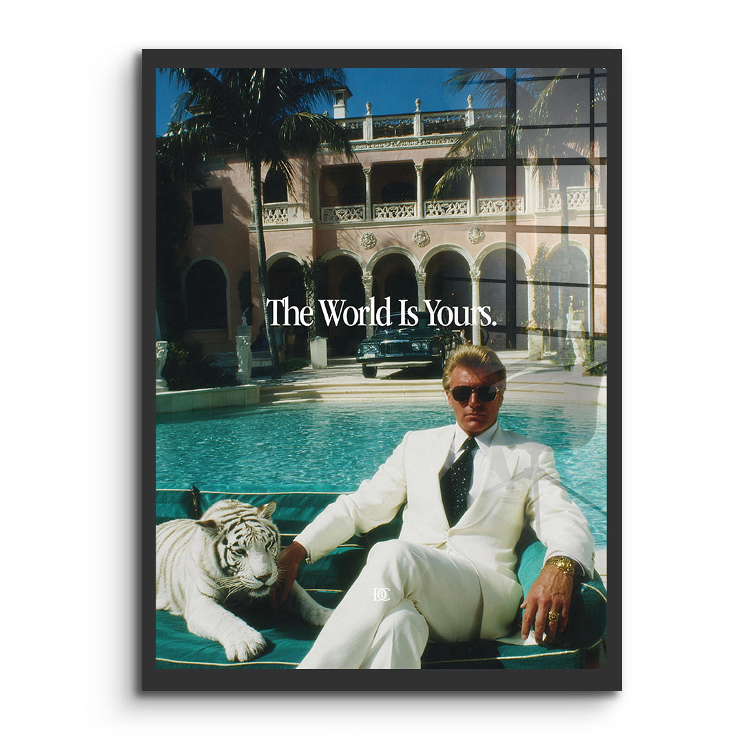 DOTCOMCANVAS Acrylglasbild The World Is Yours Tiger ohne Rahmen