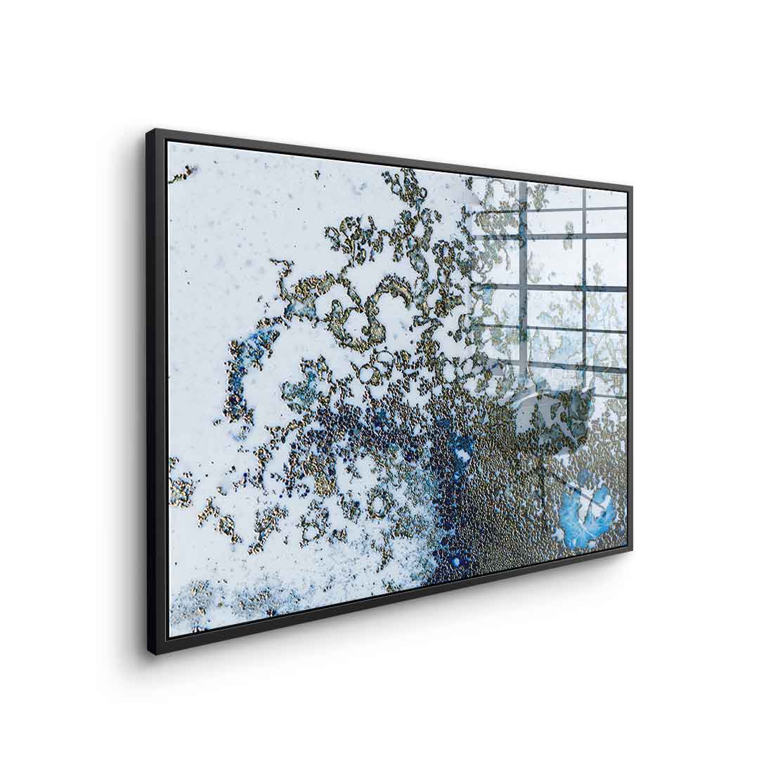 Coral Rising - Acrylic glass