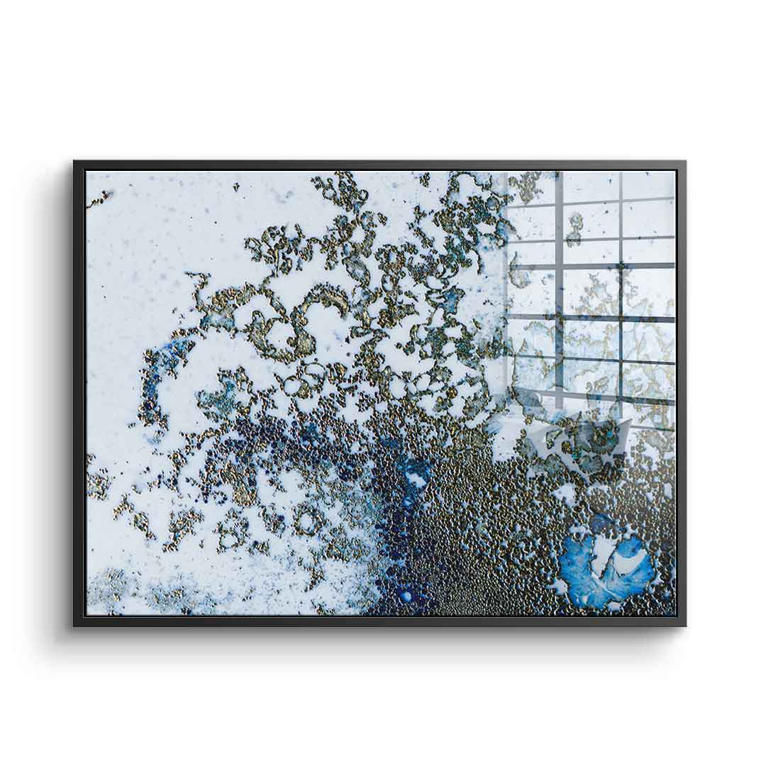 Coral Rising - Acrylglas