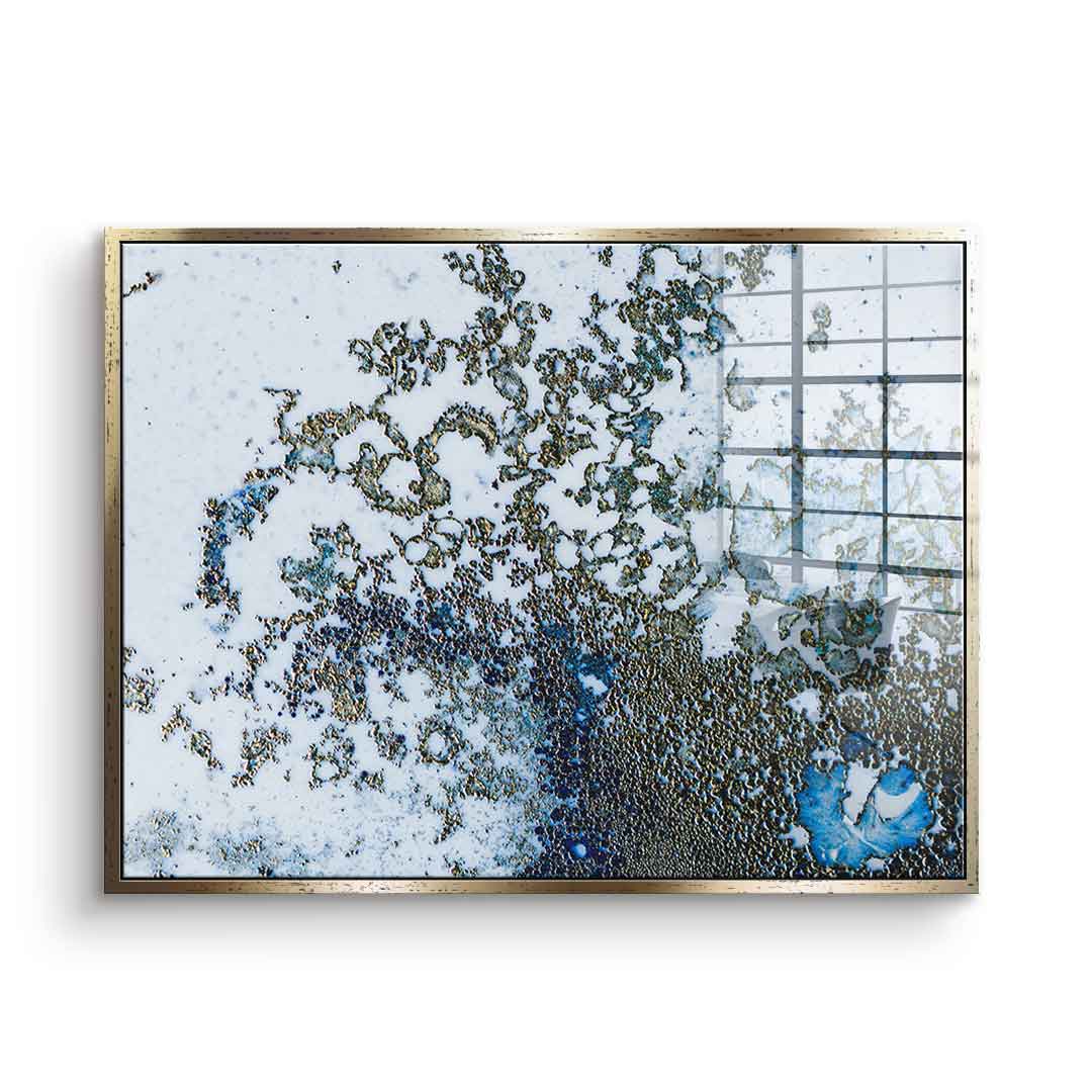 Coral Rising - Acrylglas