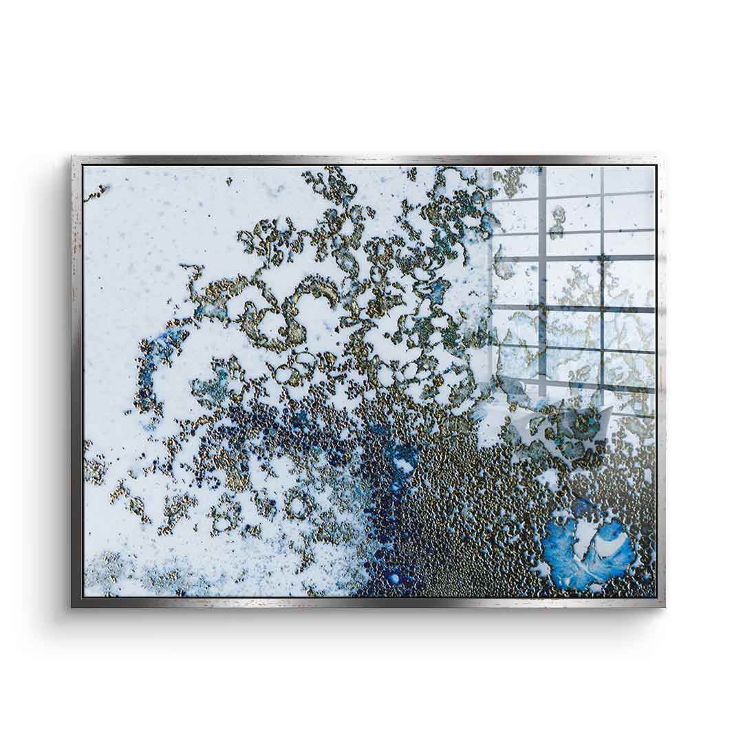 Coral Rising - Acrylglas