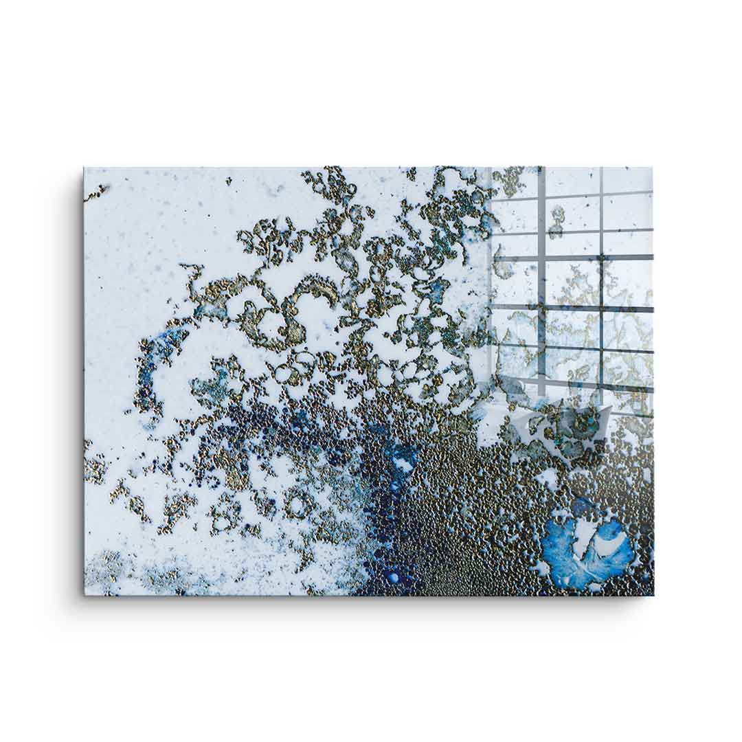 Coral Rising - Acrylglas