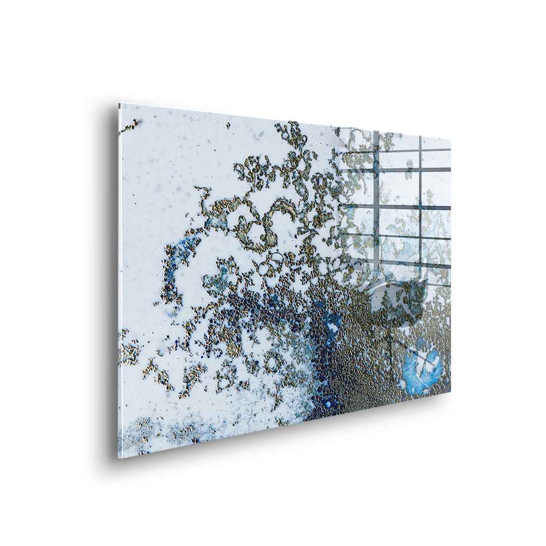 Coral Rising - Acrylic glass