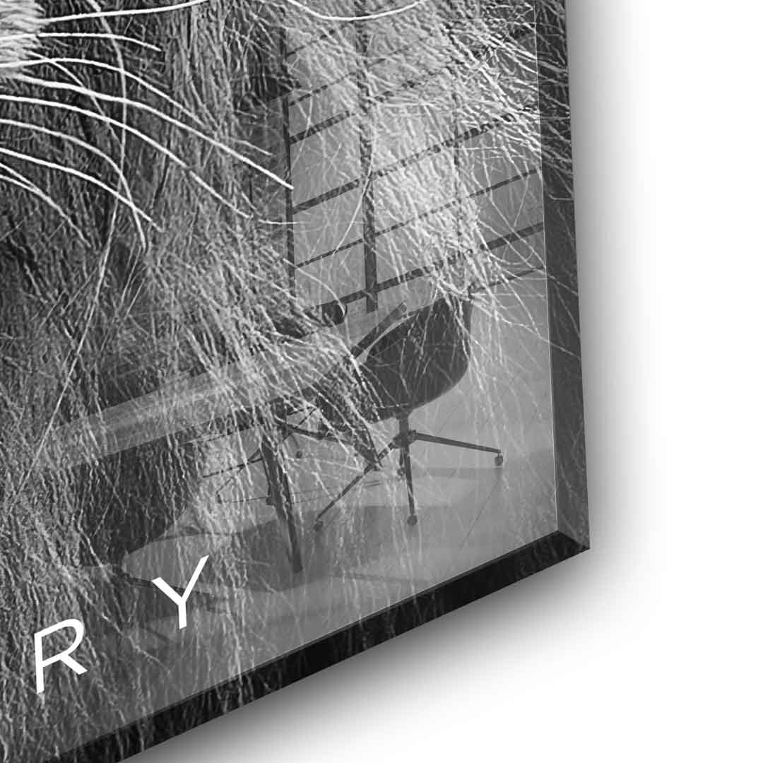 Hungry Face - Acrylglas