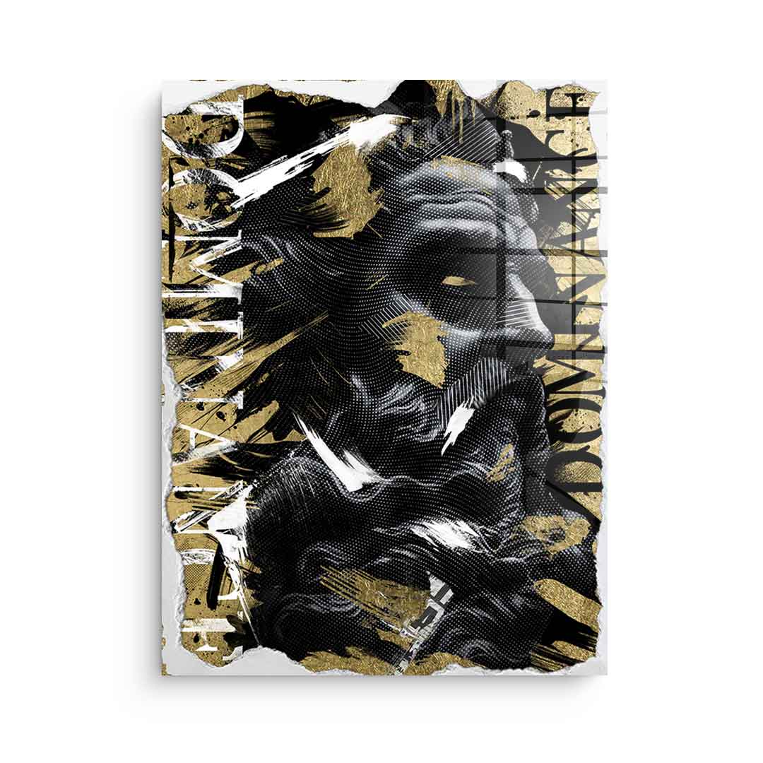 Luxury Portrait - Acrylglas 3x