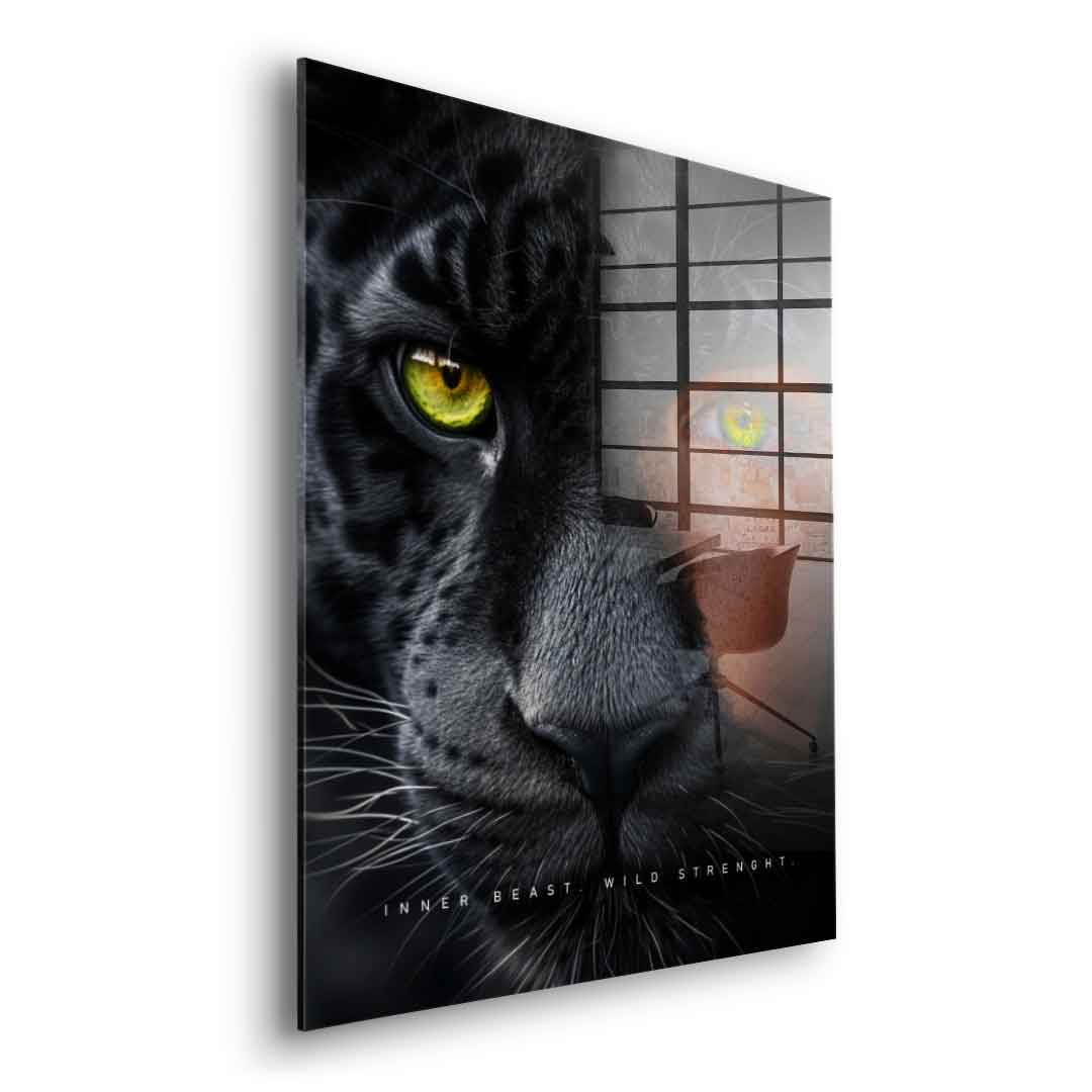 Panther Fusion - Szkło akrylowe