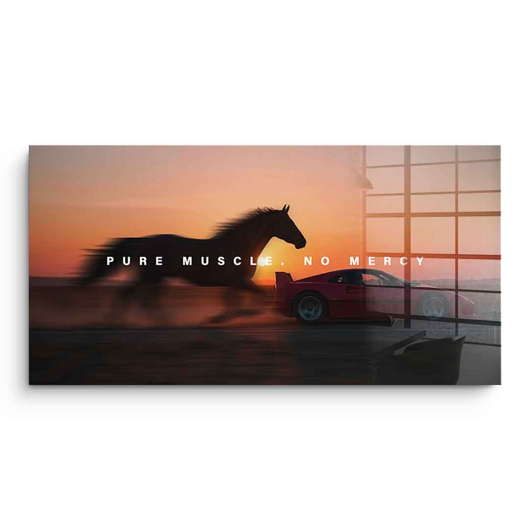 Pure Muscle - Acrylglas