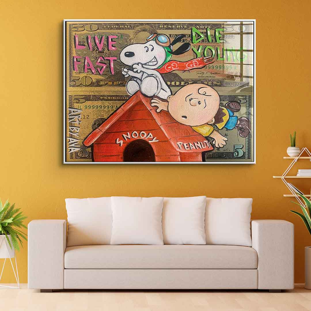 Flying Peanuts - Acrylic glass