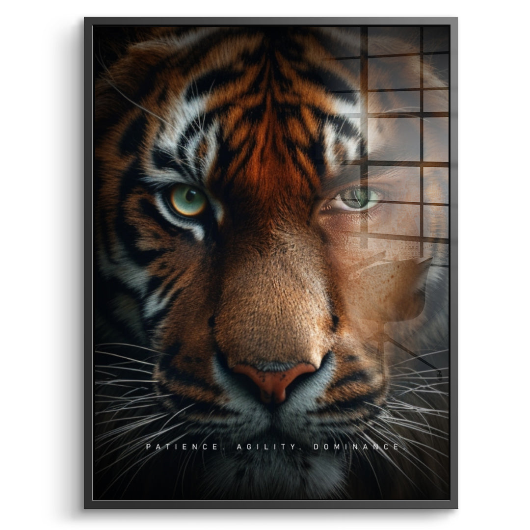 Tiger Fusion - Szkło akrylowe