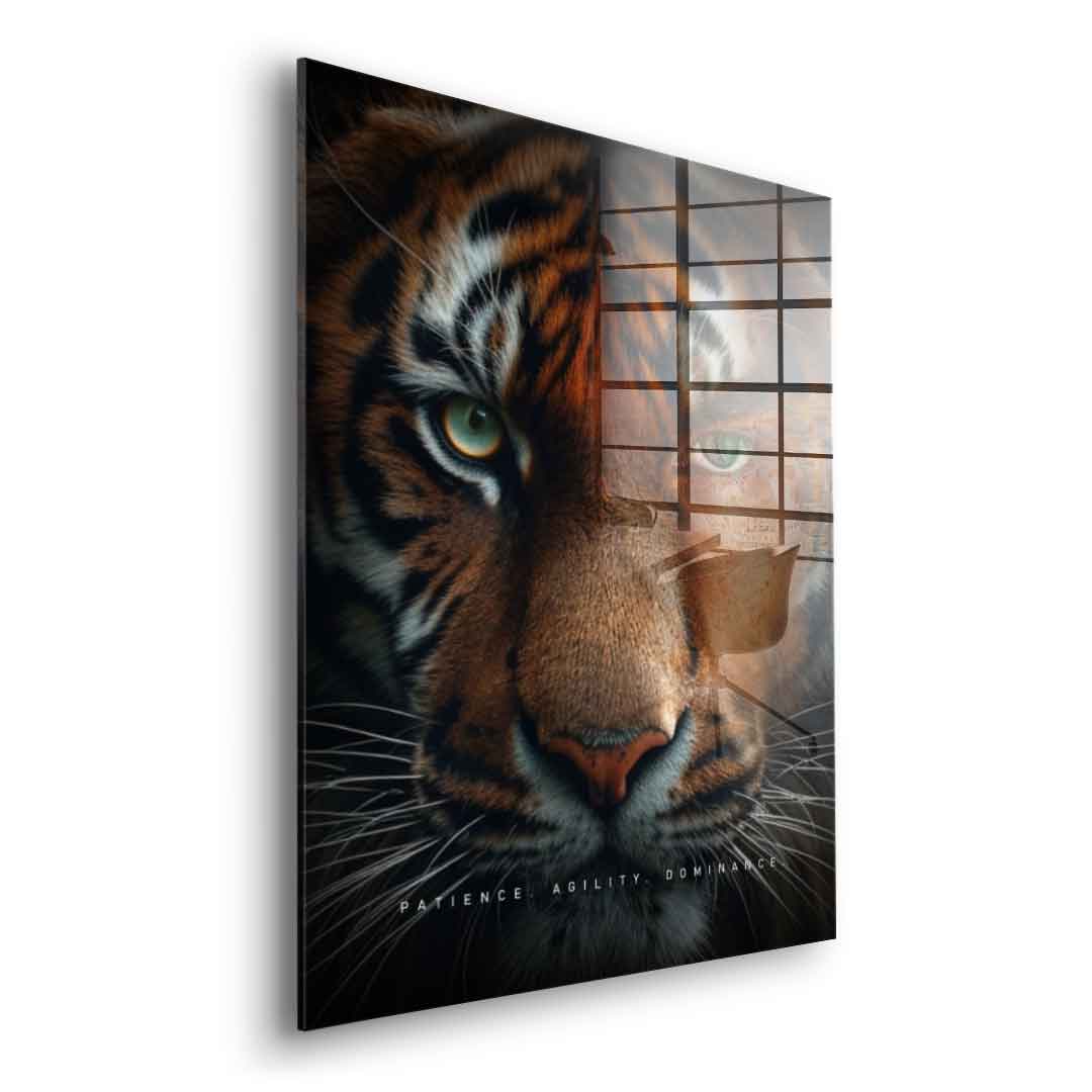 Tiger Fusion - Szkło akrylowe