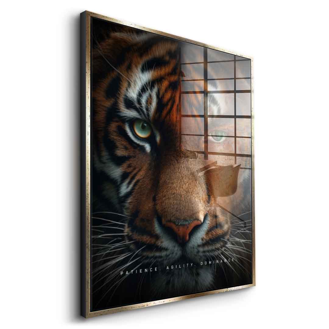 Tiger Fusion - Szkło akrylowe