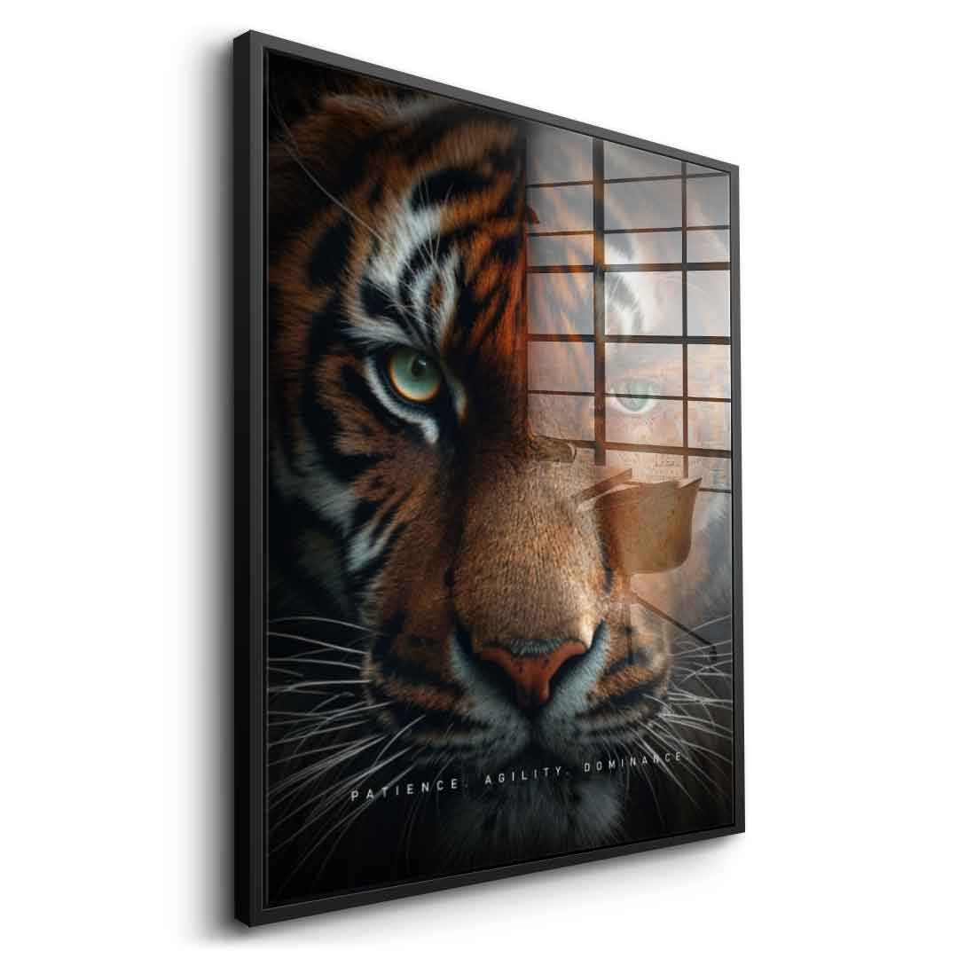 Tiger Fusion - Szkło akrylowe