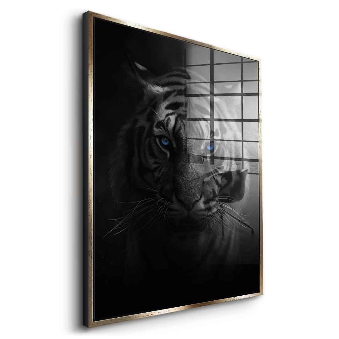 Tiger - Acrylic glass