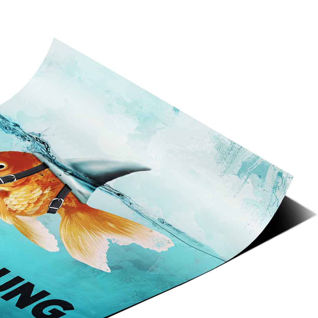 Mindset is everything #Goldfish - Poster