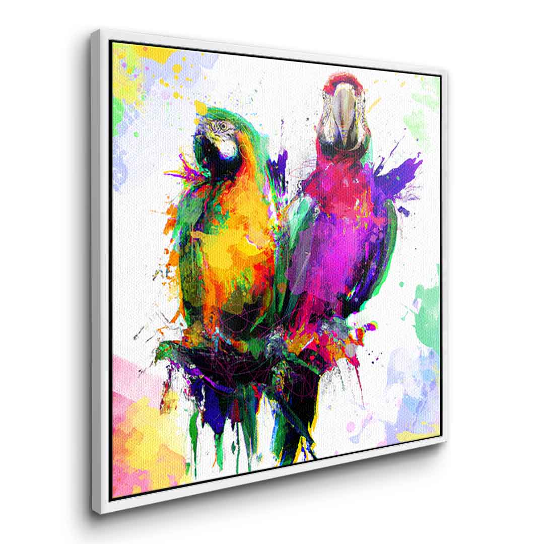 Colorful Parrot