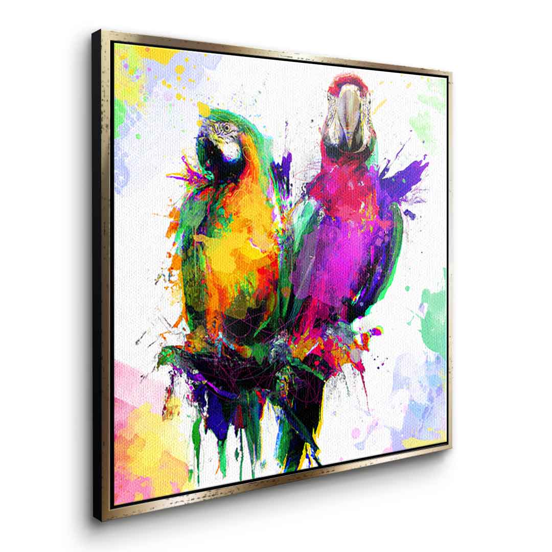 Colorful Parrot
