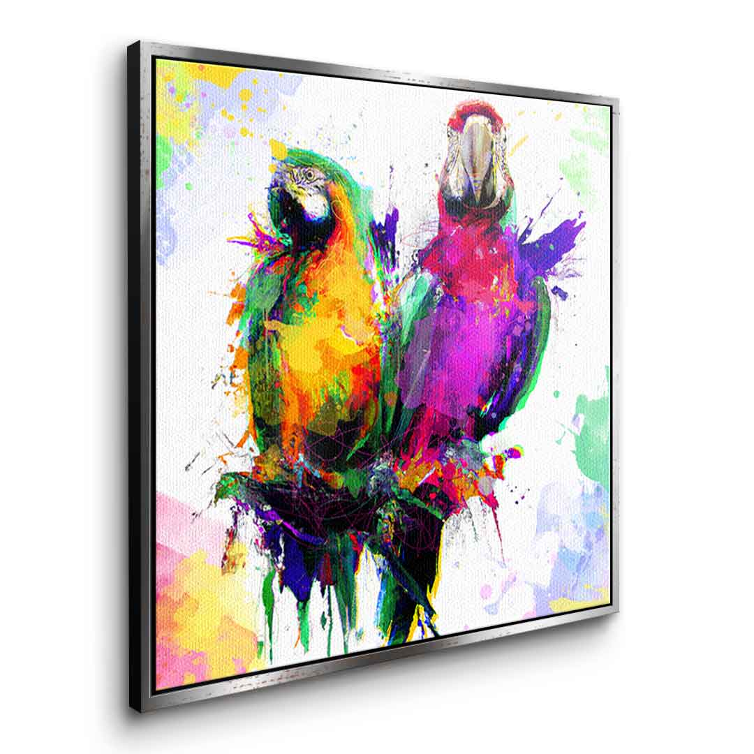 Colorful Parrot