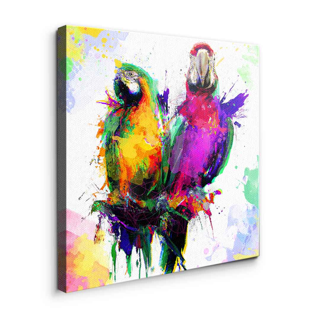Colorful Parrot