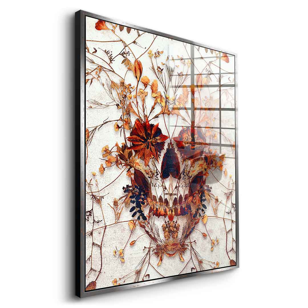 Delicate Skull - Acrylic Glass