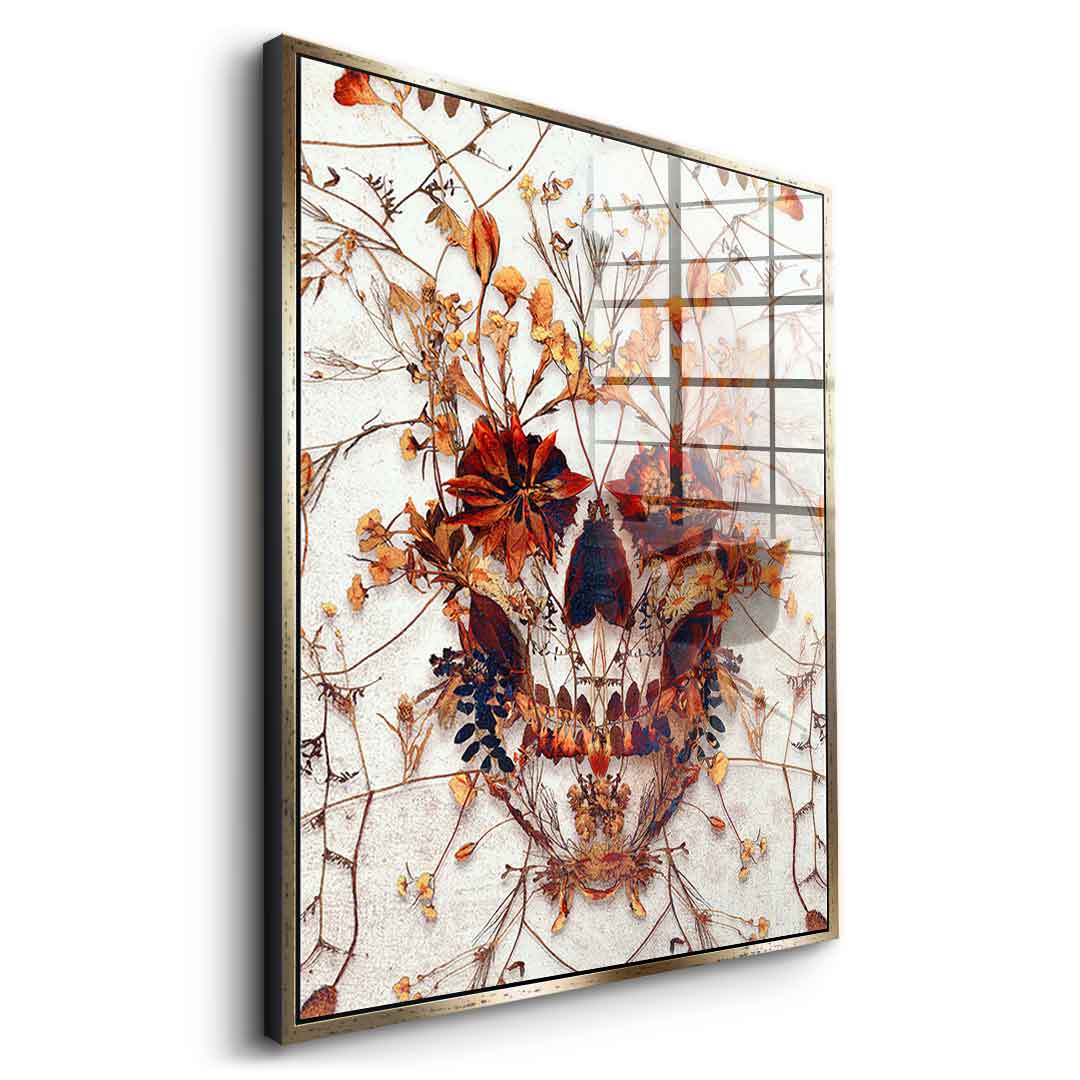 Delicate Skull - Acrylic Glass