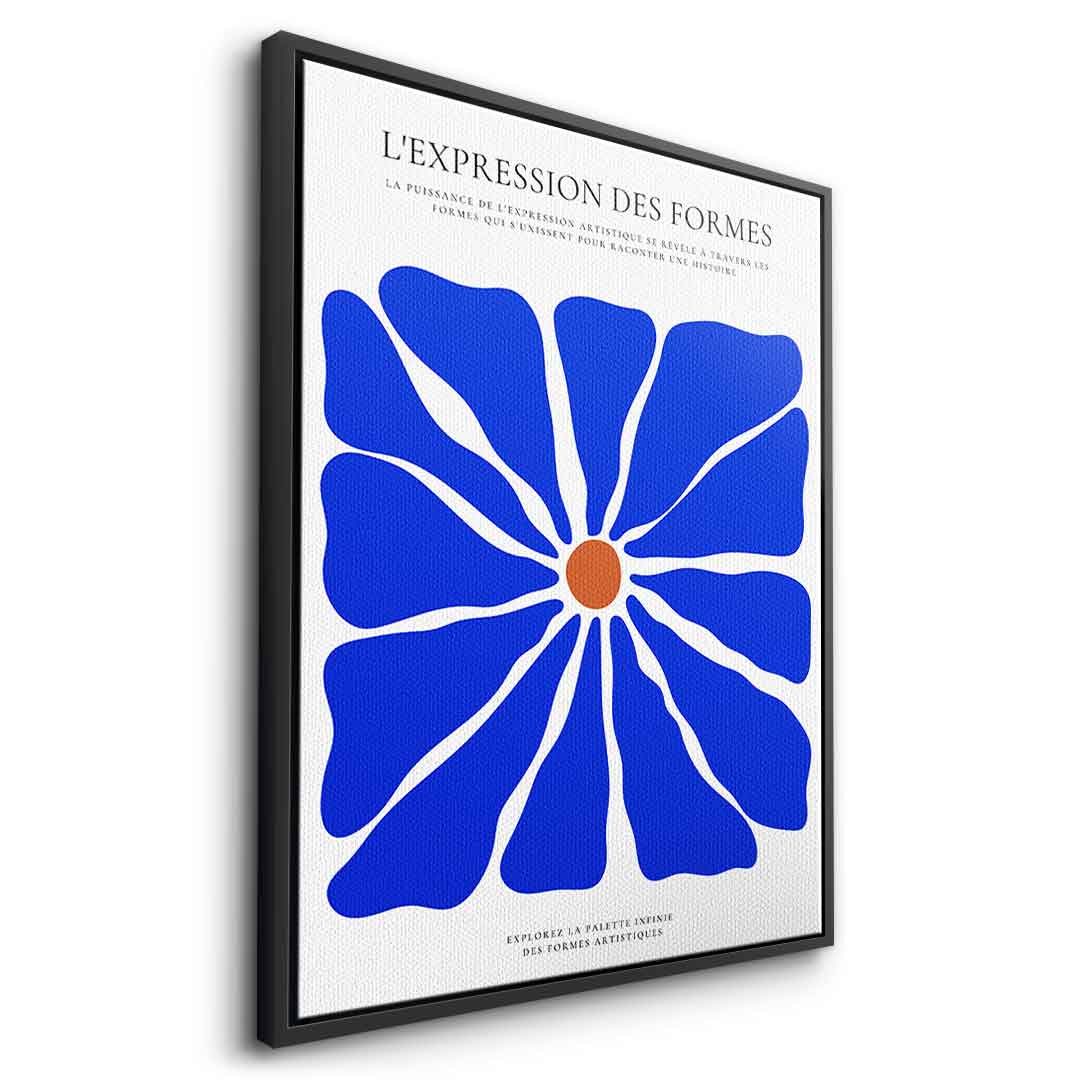 L'Expression des formes
