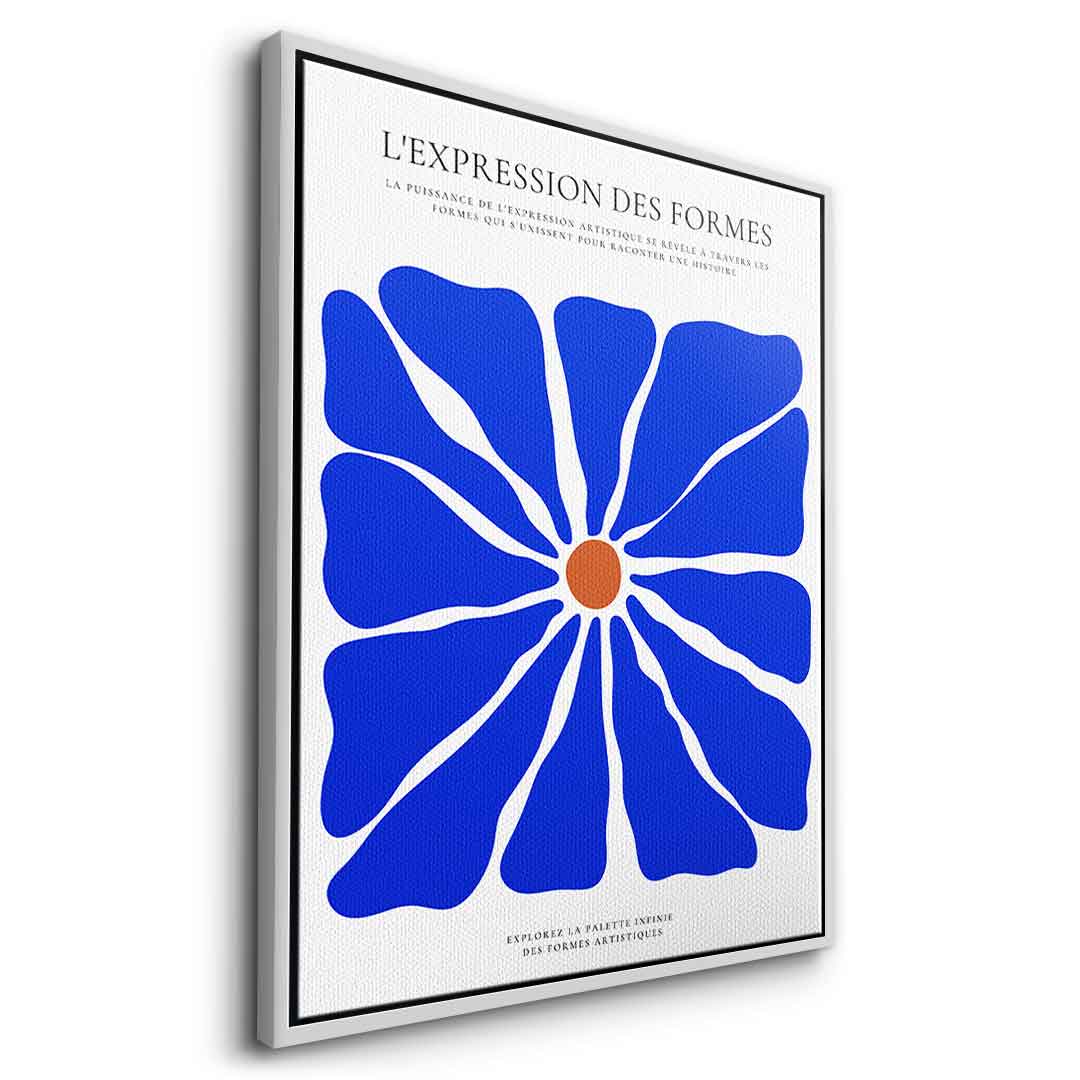 L'Expression des formes