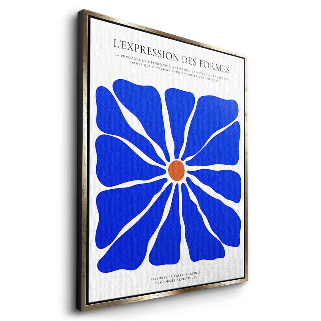 L'Expression des formes