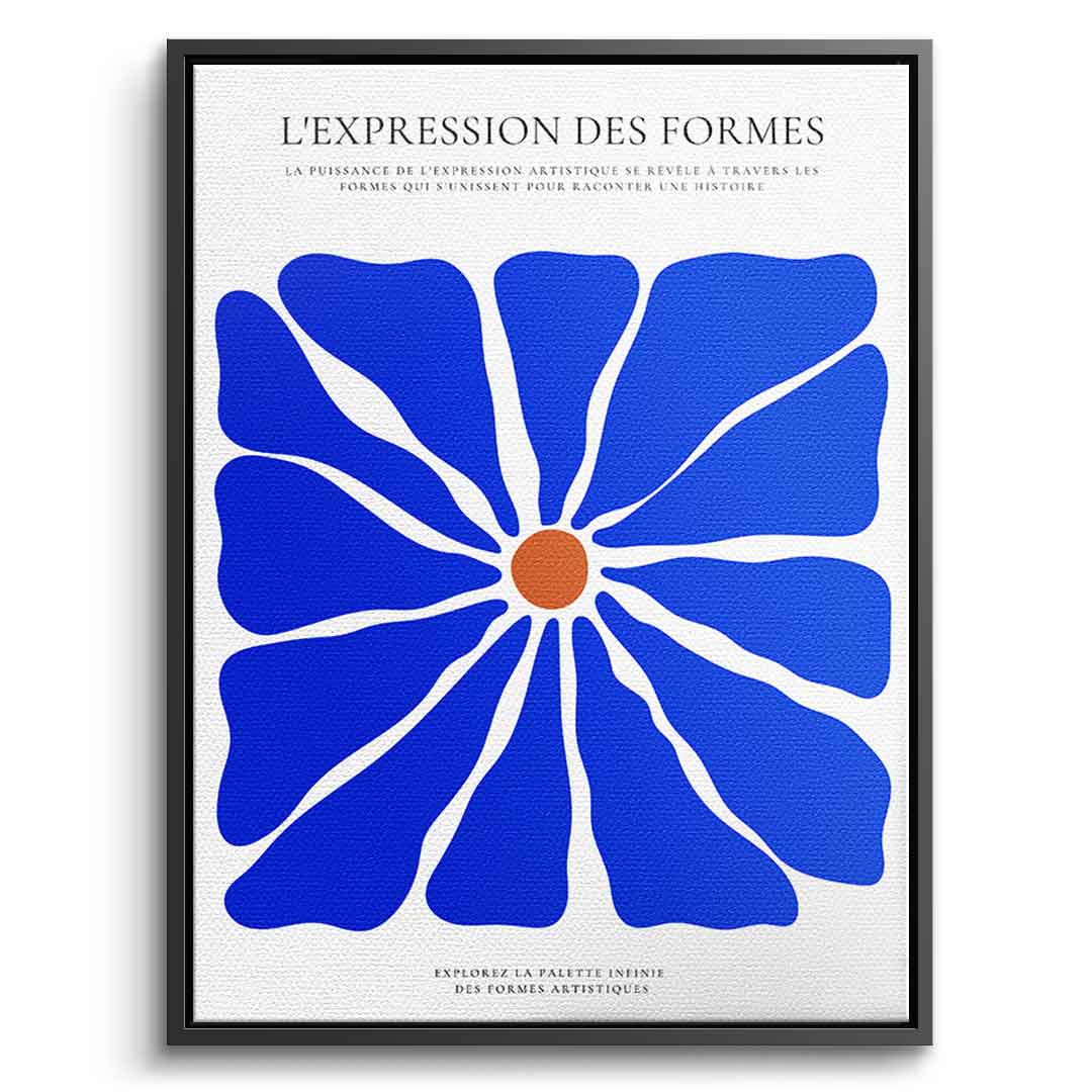 L'Expression des formes