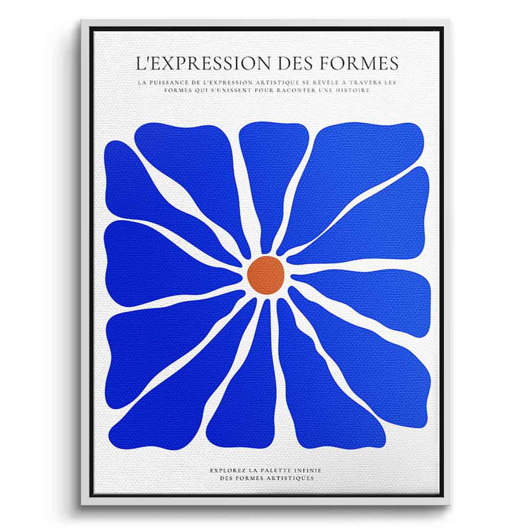 L'Expression des formes