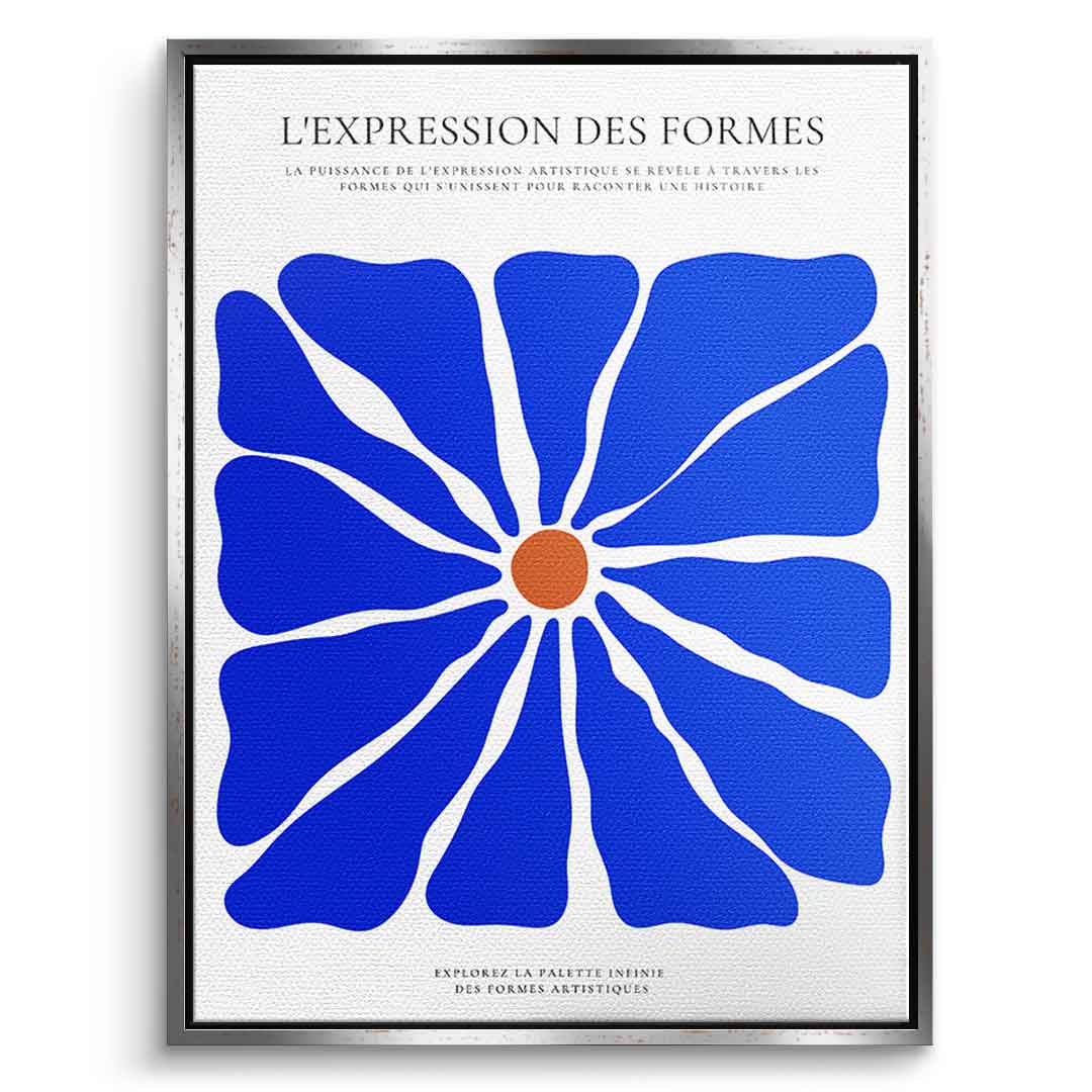 L'Expression des formes
