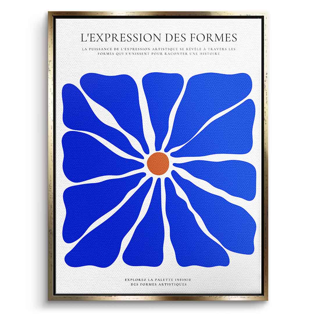 L'Expression des formes