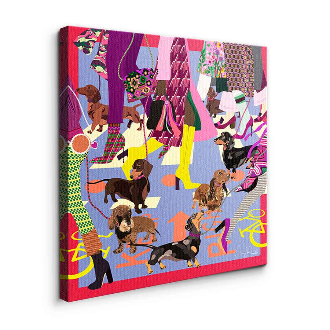 Fashion Girls Doxies