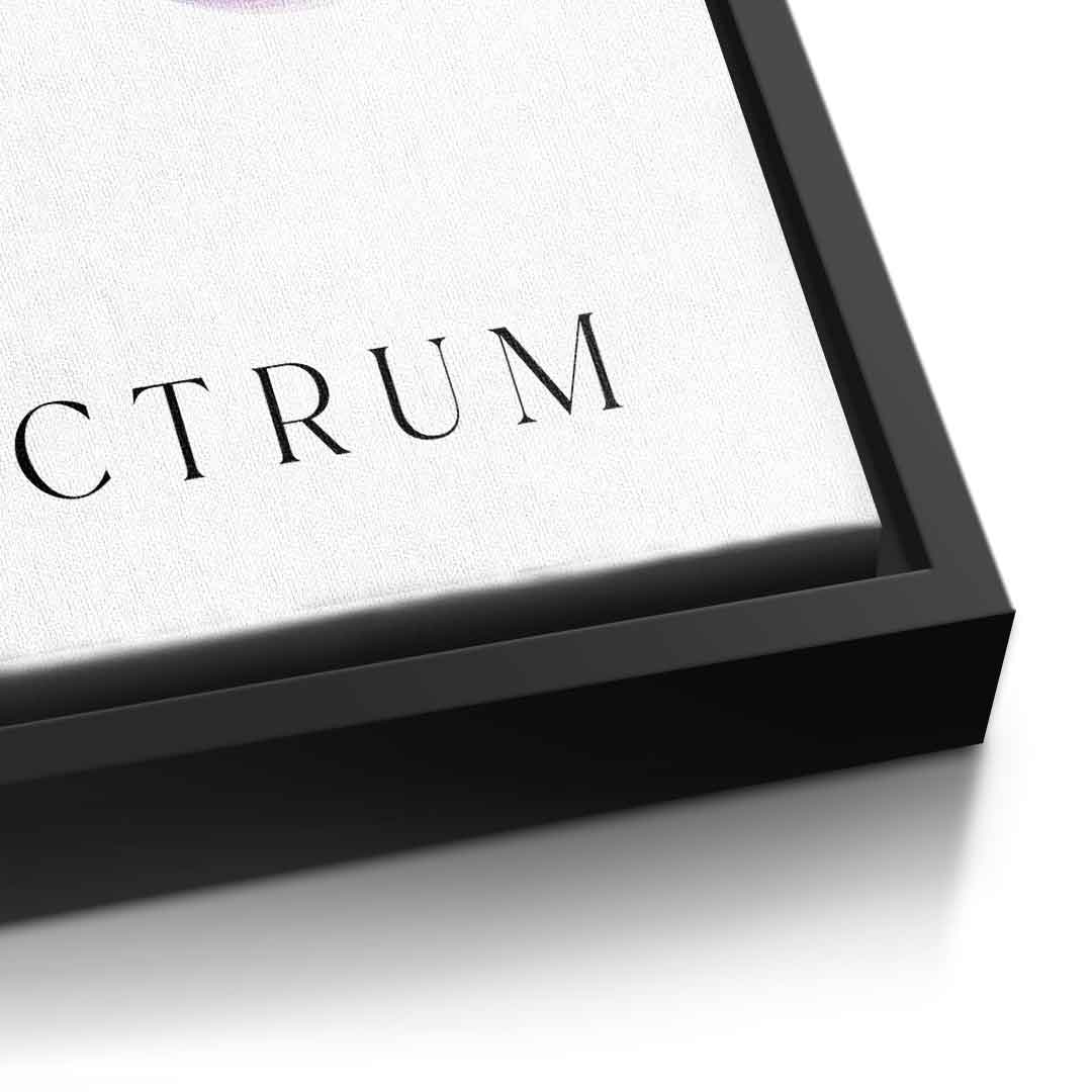 Spectrum 1