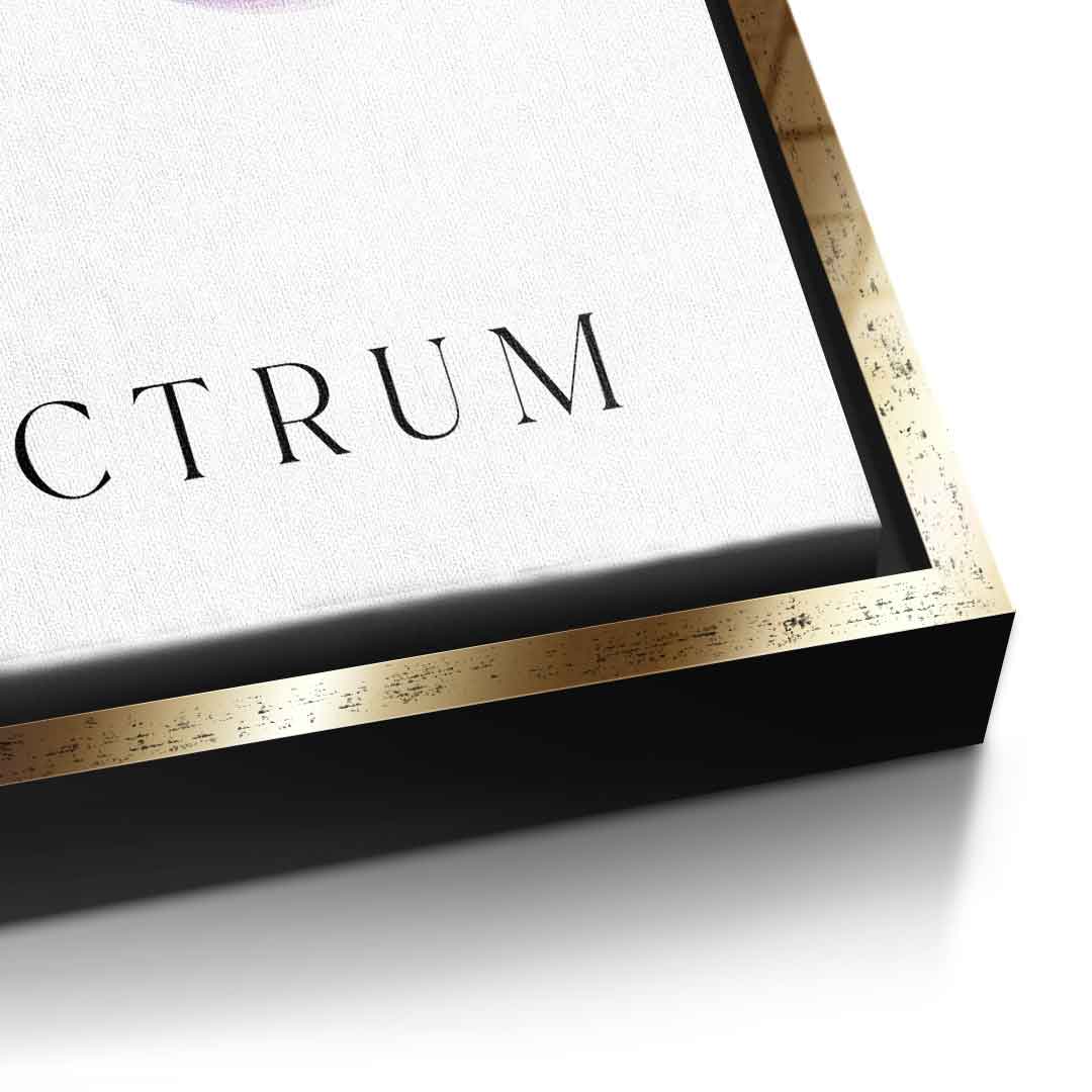 Spectrum 1