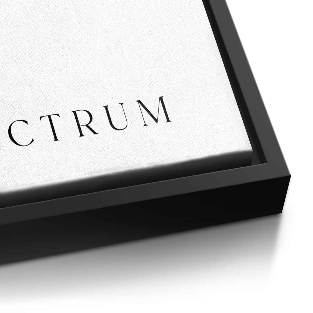 Spectrum 2