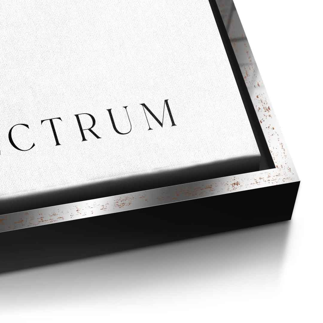Spectrum 2