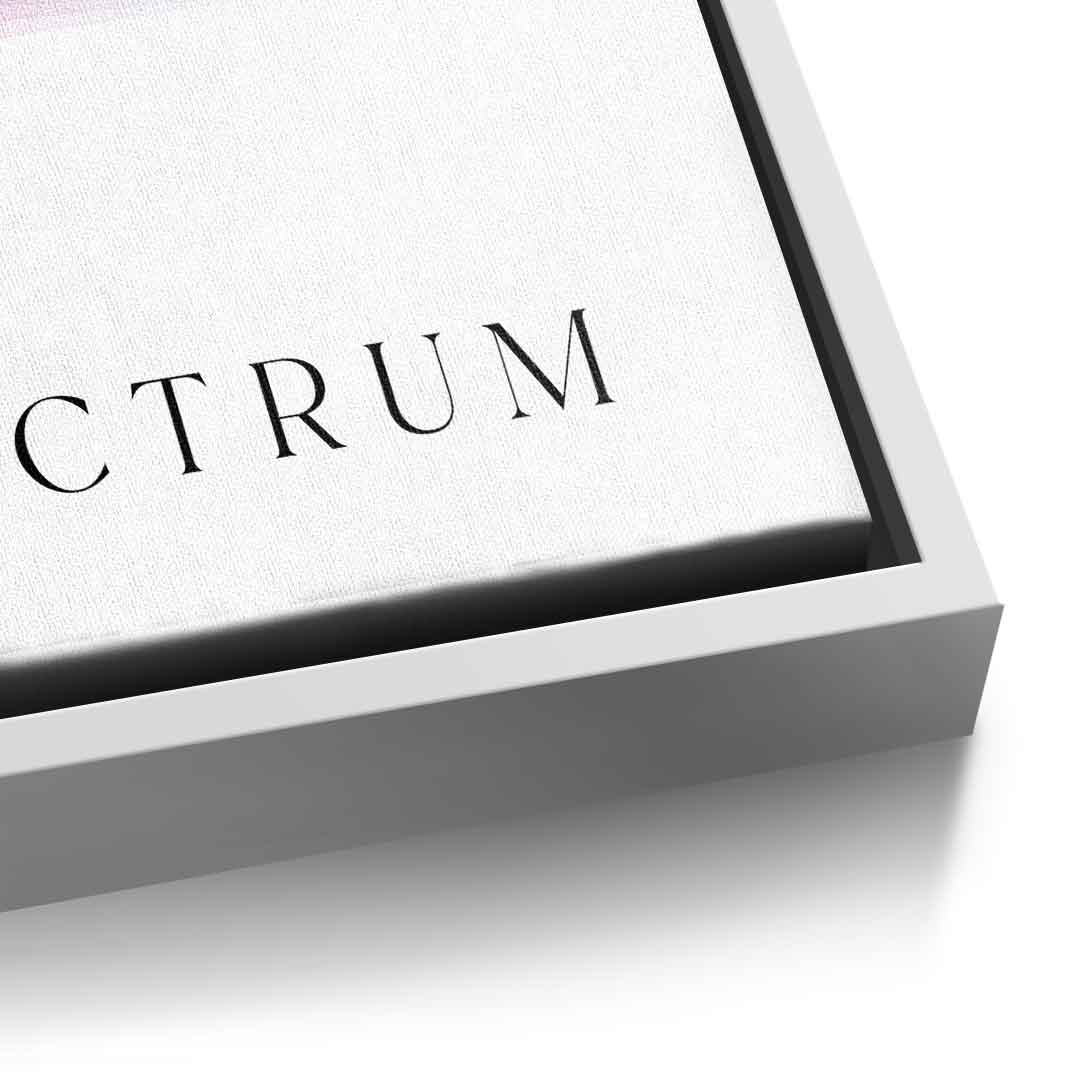 Spectrum 3