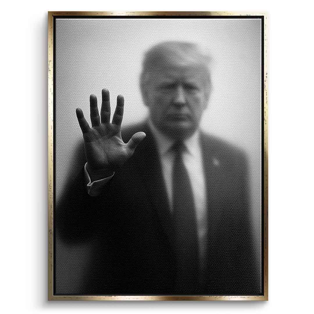 Trump's Silhouette