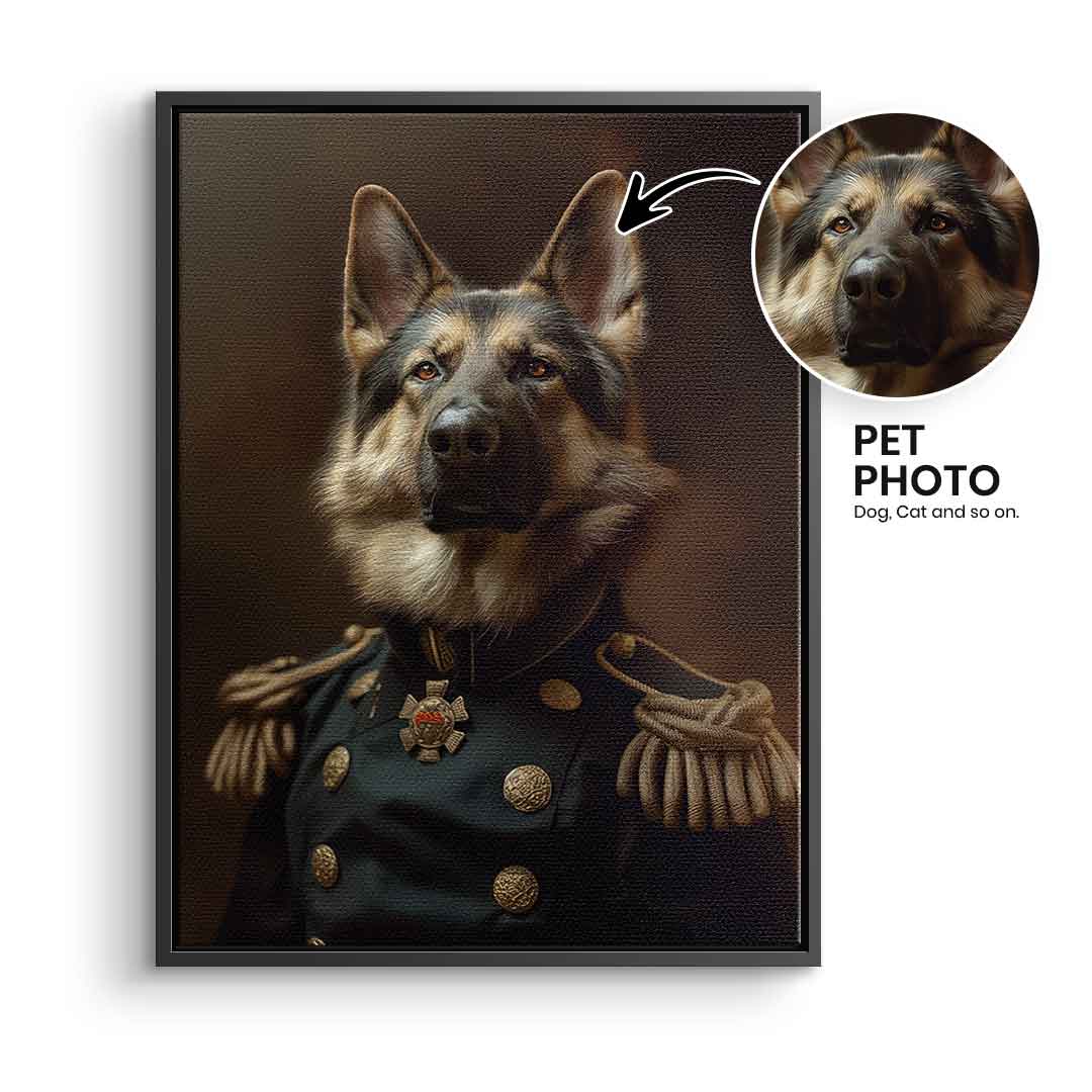 Renaissance 9 customizable