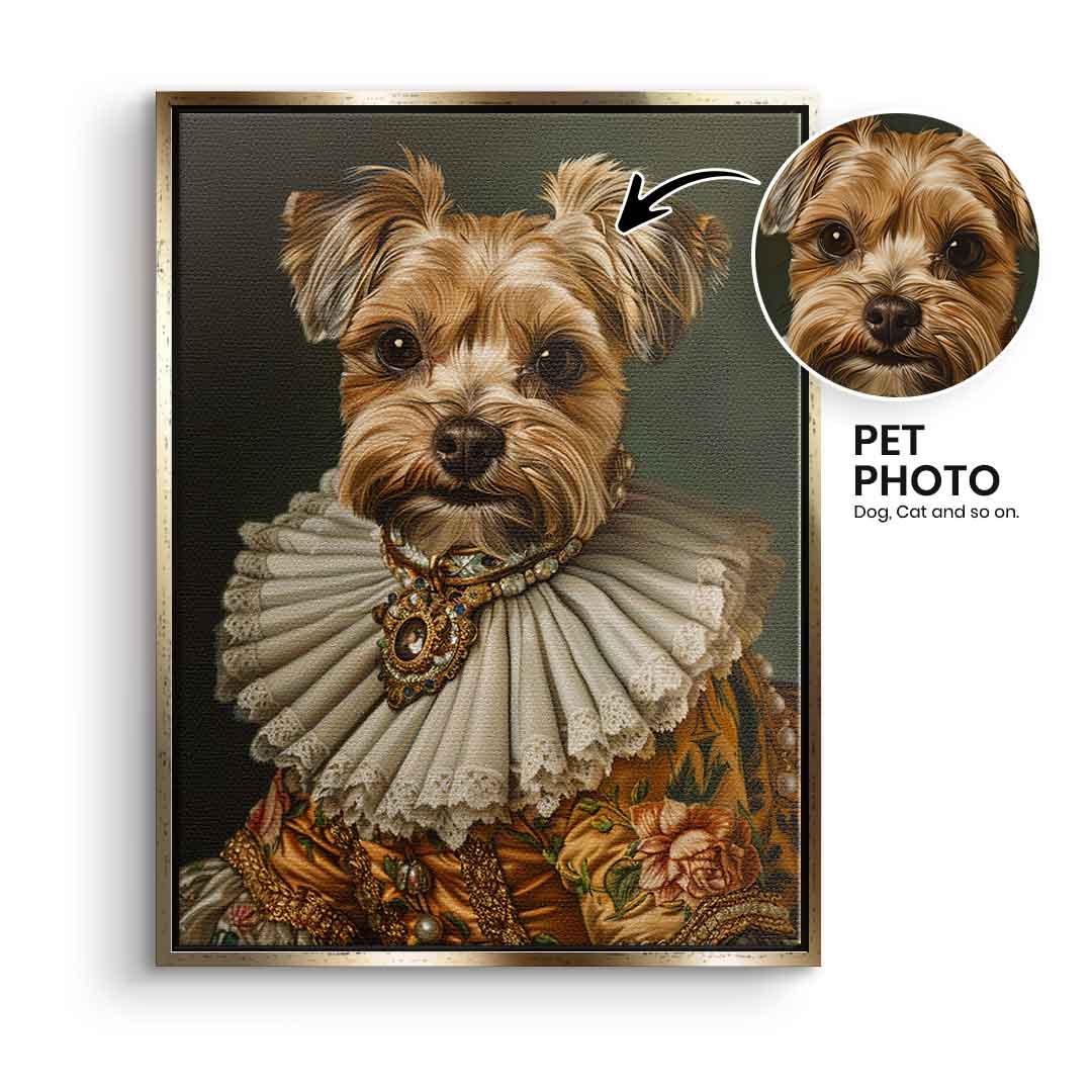 Renaissance 4 customizable