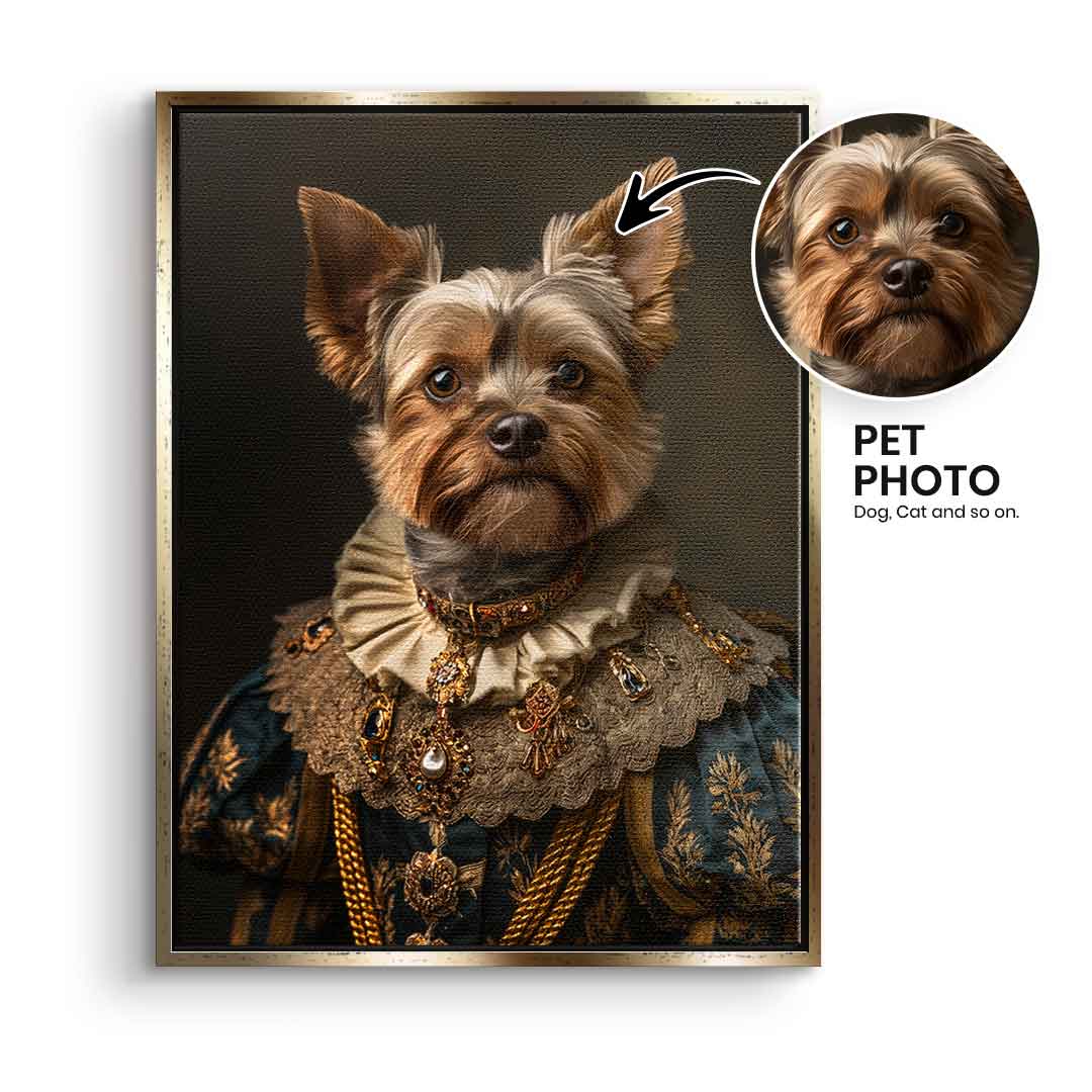 Renaissance 2 customizable