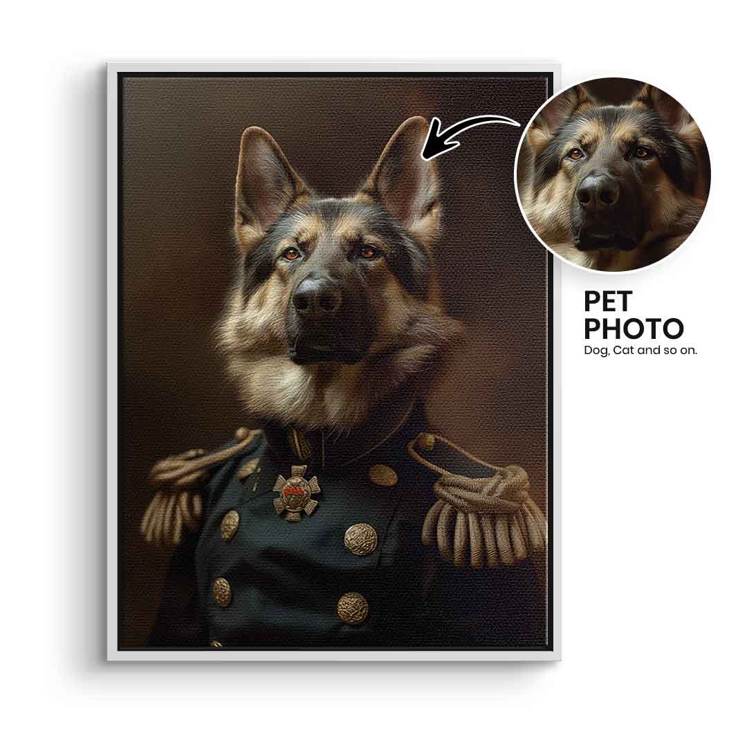 Renaissance 9 customizable