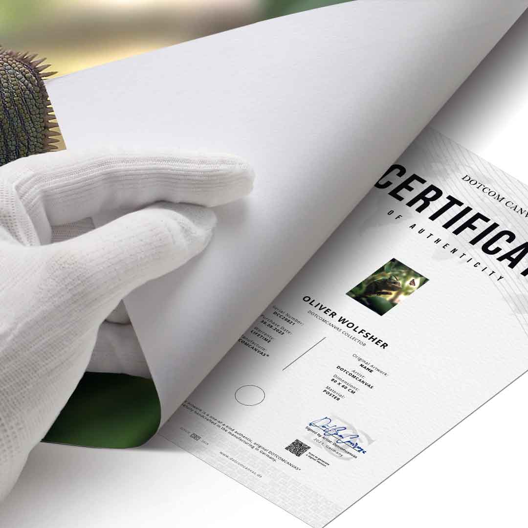 Cameleon Life - Plakat