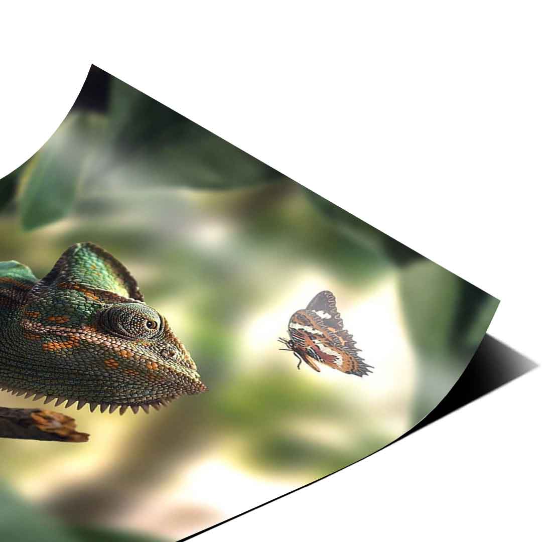 Cameleon Life - Plakat