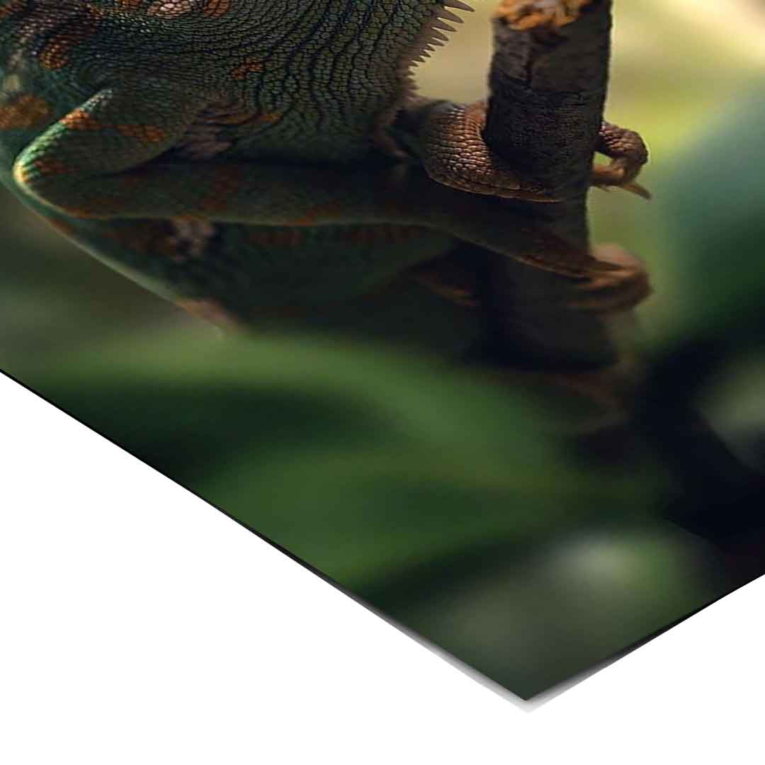 Cameleon Life - Plakat