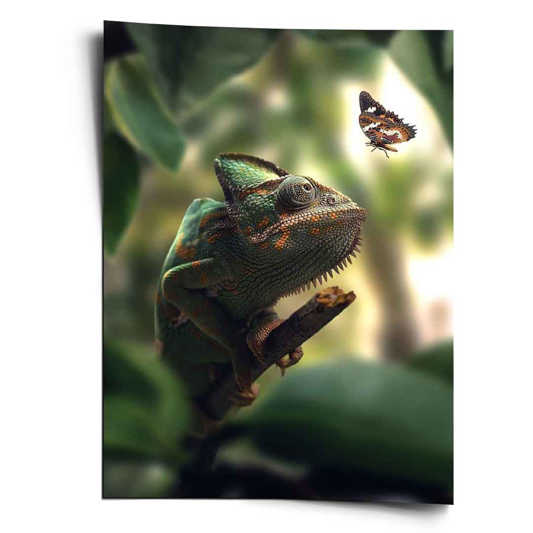 Cameleon Life - Plakat