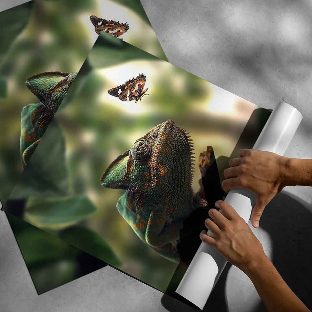 Cameleon Life - Plakat